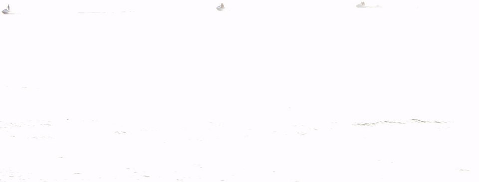 P5040261