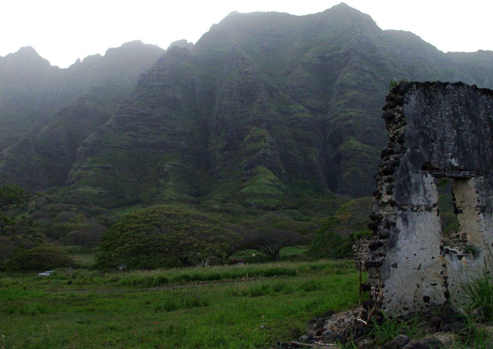 P5050353