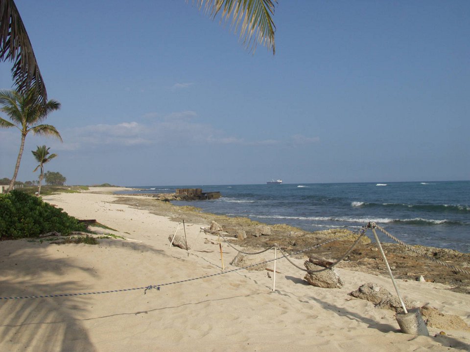 P5060475