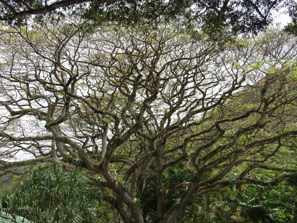 P5080038