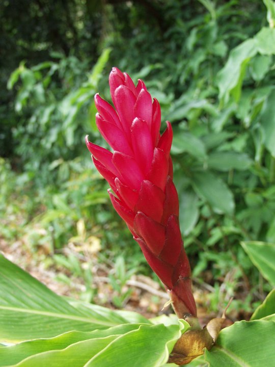P5080060