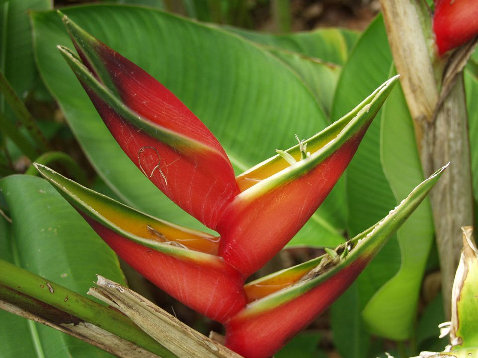P5080061
