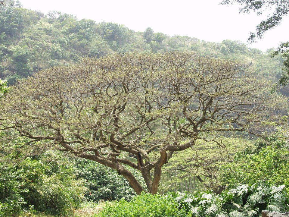P5080068