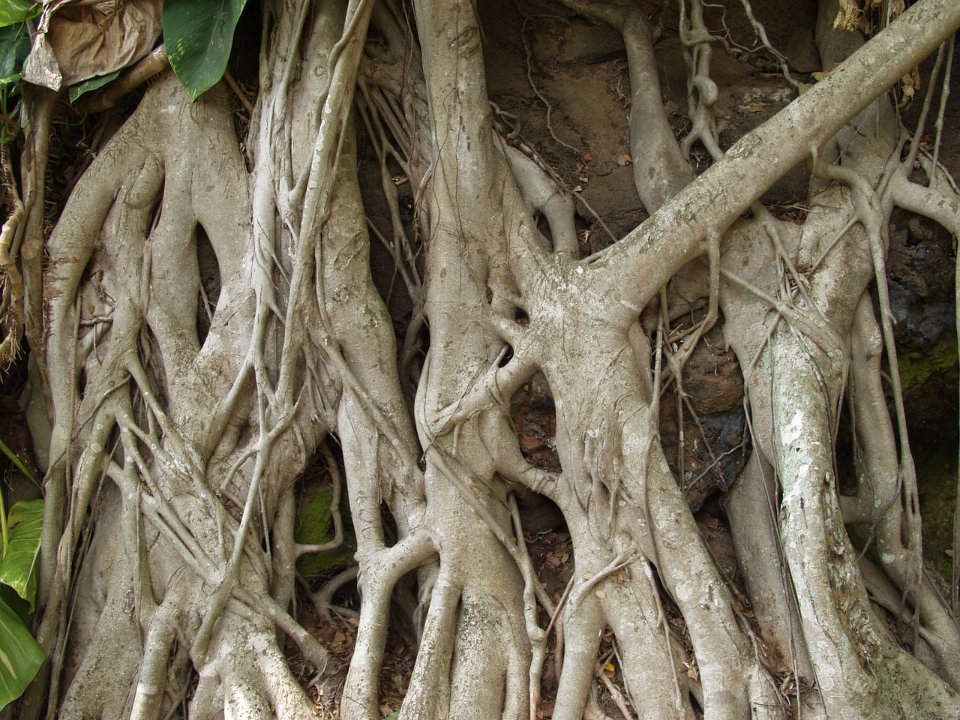 P5080069
