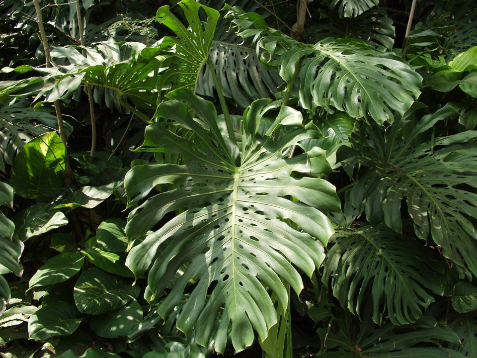 P5080070