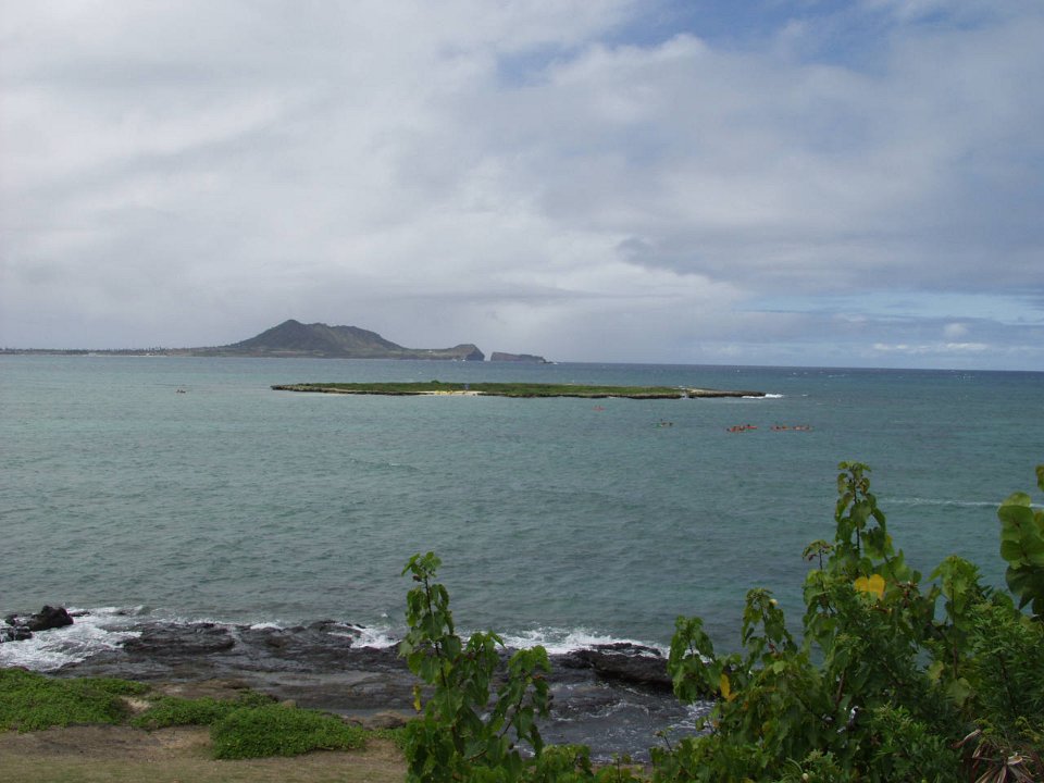 P5090126