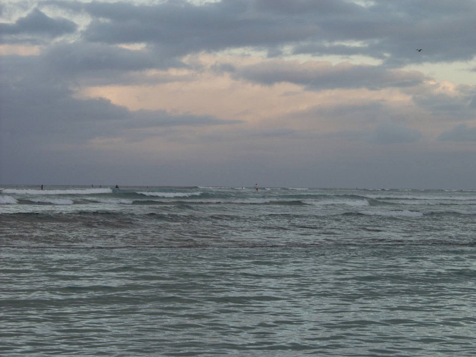 P5110190