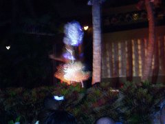 P1010078