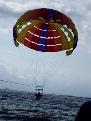 P1010123