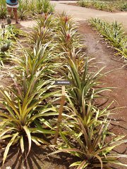 P5030087
