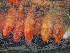 P5030107