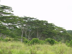 P5030126