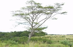 P5030127