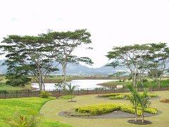 P5030132