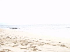P5030208