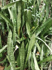 P5030230
