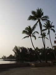 P5040264