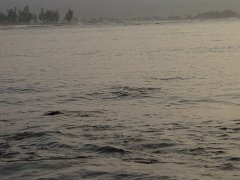 P5040276