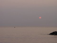 P5040295
