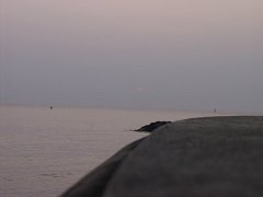 P5040296