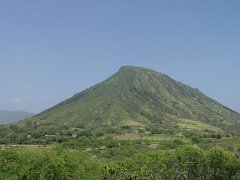 P5050298