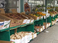 P5050314