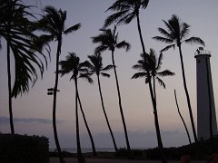 P5060502