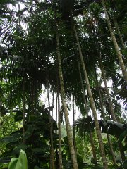 P5080048