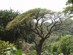 P5080066