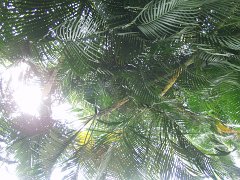 P5080067