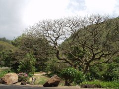P5080073