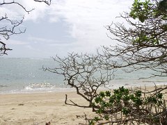 P5090077