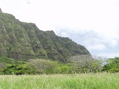 P5090080