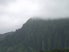 P5090106