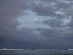 P5110188