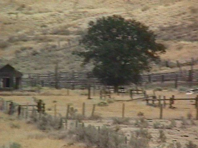 001-024f