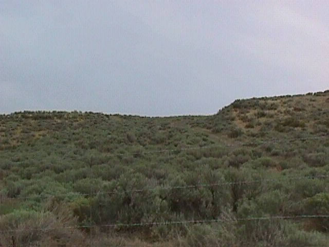 002-006f