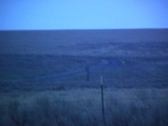 004-025f