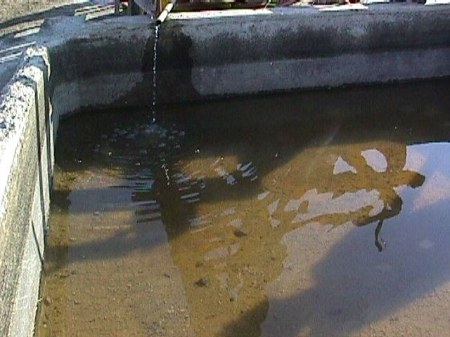 005-006f