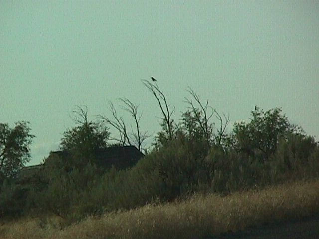 005-007f