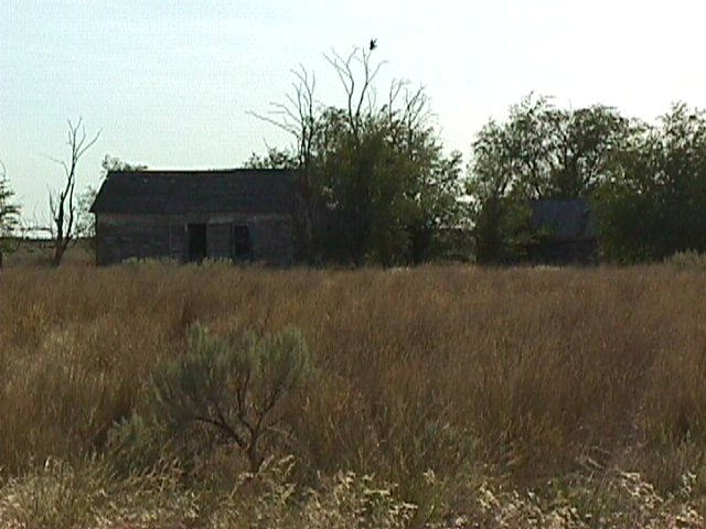 005-008f