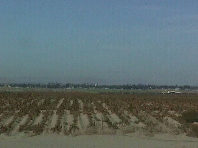 007-015f