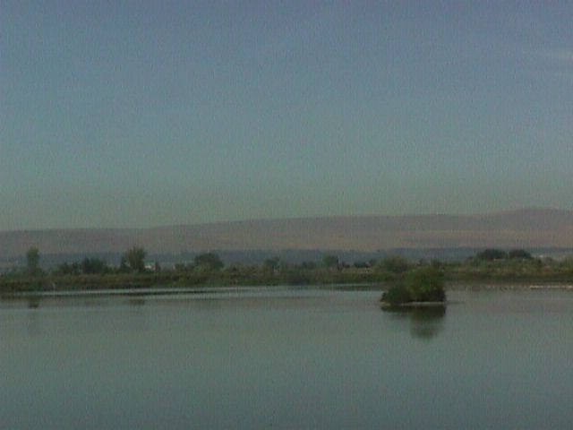 007-018f