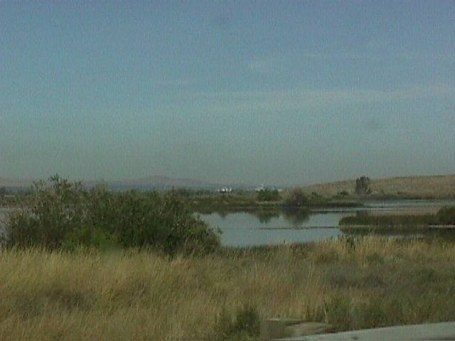 007-019f