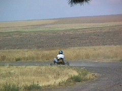 006-005f
