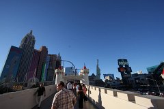 IMG 4156
