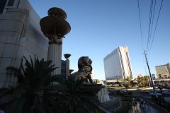 IMG 4158