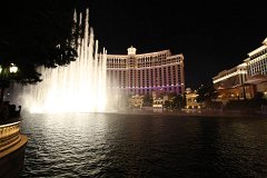 IMG 4231