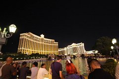 IMG 4236