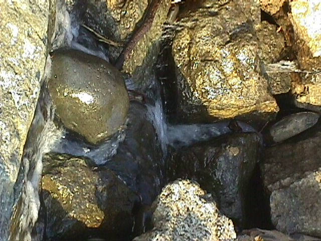 008-006f